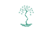 American Board of Orthopaedic Surgery